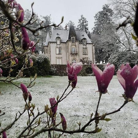 Chateau Maleplane Bed & Breakfast Saint-Léonard-de-Noblat Екстериор снимка