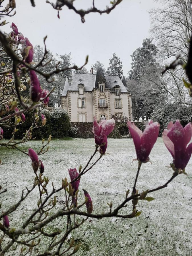 Chateau Maleplane Bed & Breakfast Saint-Léonard-de-Noblat Екстериор снимка