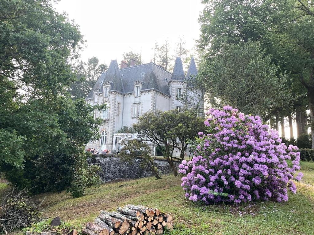 Chateau Maleplane Bed & Breakfast Saint-Léonard-de-Noblat Екстериор снимка