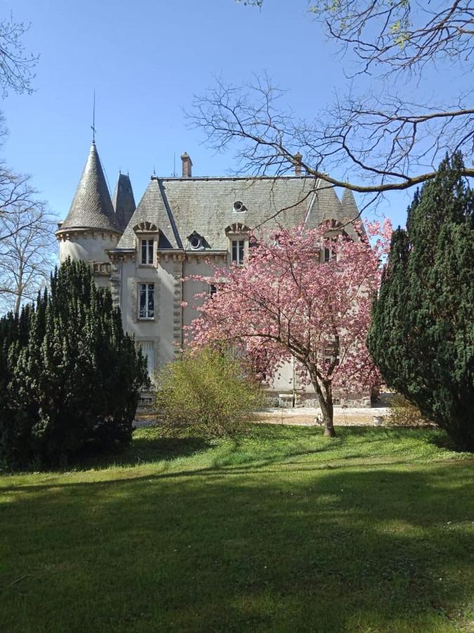 Chateau Maleplane Bed & Breakfast Saint-Léonard-de-Noblat Екстериор снимка