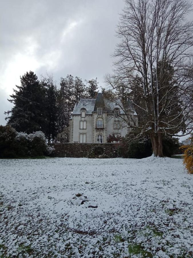 Chateau Maleplane Bed & Breakfast Saint-Léonard-de-Noblat Екстериор снимка