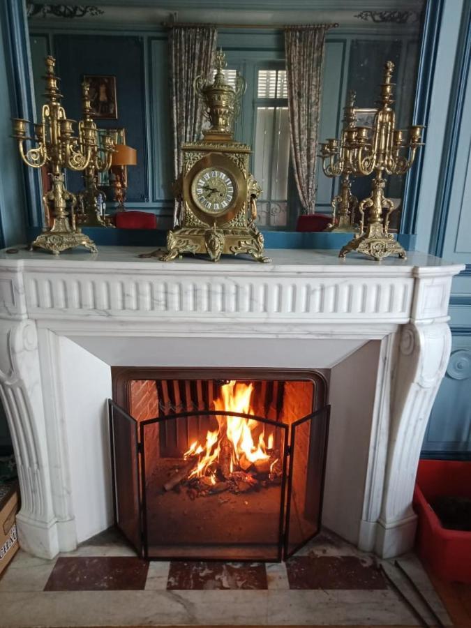 Chateau Maleplane Bed & Breakfast Saint-Léonard-de-Noblat Екстериор снимка