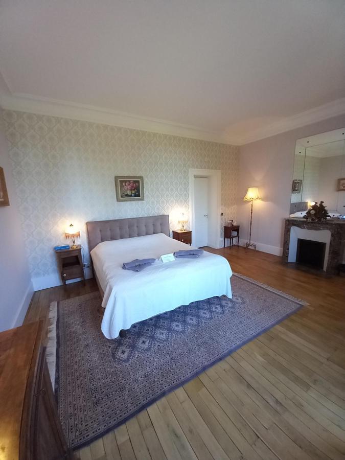 Chateau Maleplane Bed & Breakfast Saint-Léonard-de-Noblat Екстериор снимка