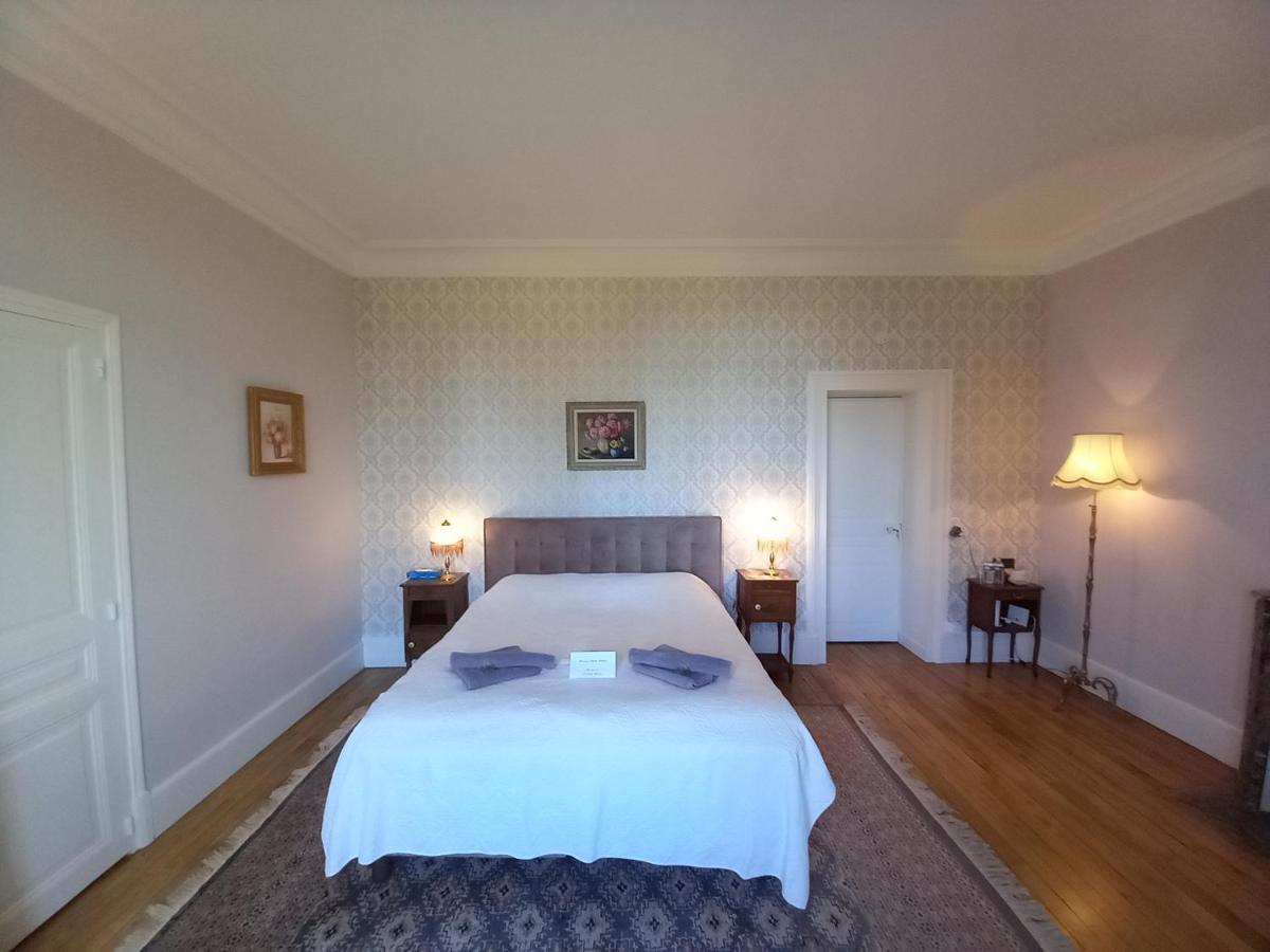 Chateau Maleplane Bed & Breakfast Saint-Léonard-de-Noblat Екстериор снимка