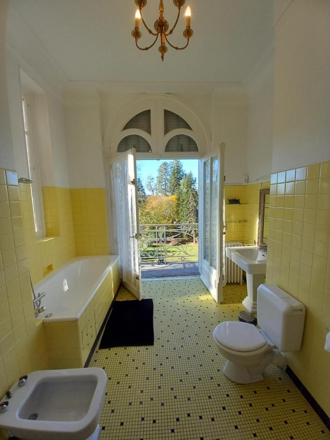 Chateau Maleplane Bed & Breakfast Saint-Léonard-de-Noblat Екстериор снимка