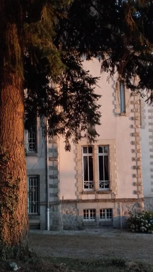 Chateau Maleplane Bed & Breakfast Saint-Léonard-de-Noblat Екстериор снимка
