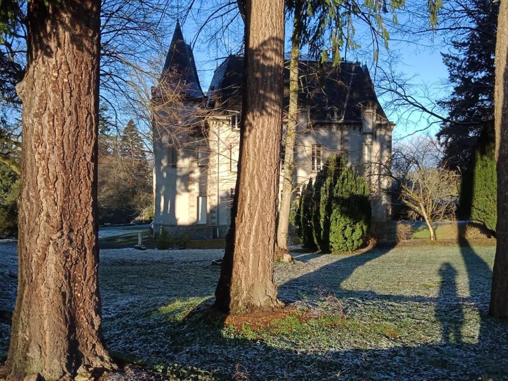 Chateau Maleplane Bed & Breakfast Saint-Léonard-de-Noblat Екстериор снимка